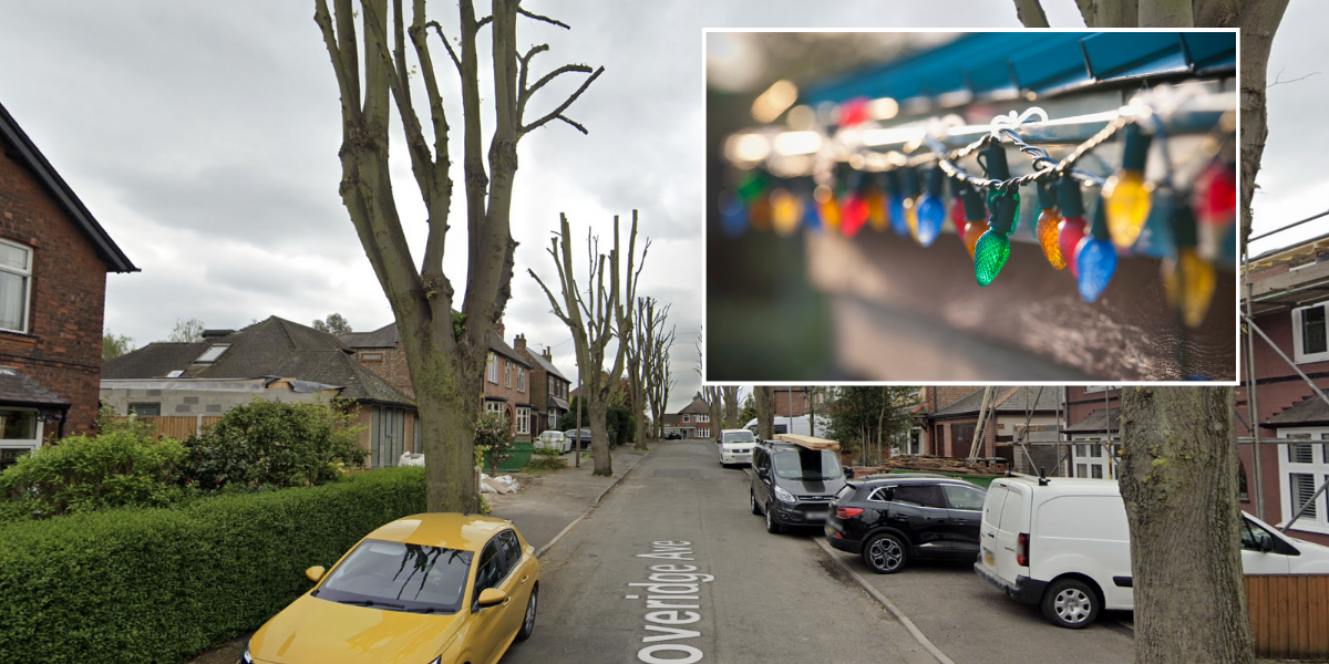 NextImg:'Mindless' vandals spark outrage after community Christmas lights cut down