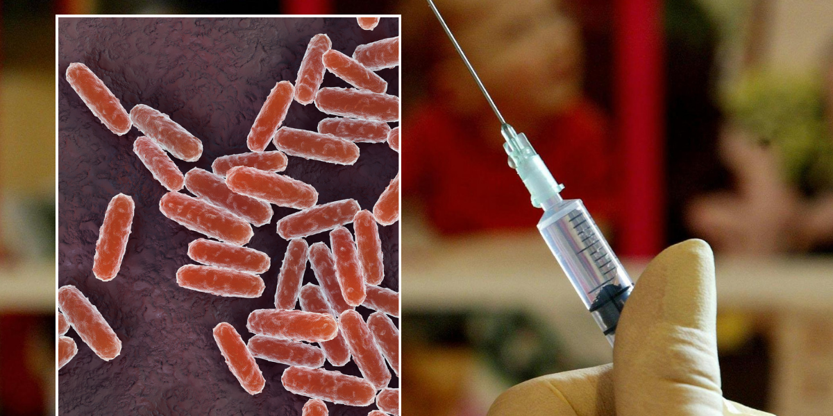 NextImg:Black Death vaccine being developed by Covid jab scientists over fears disease could return and kill millions