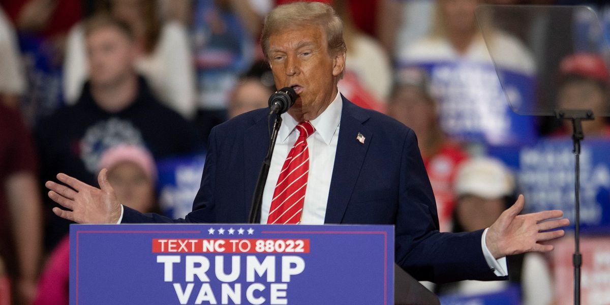 NextImg:Trump's plan to end Ukraine war with 800-mile demilitarised zone as Zelensky labels concessions to Putin 'suicidal for Europe'