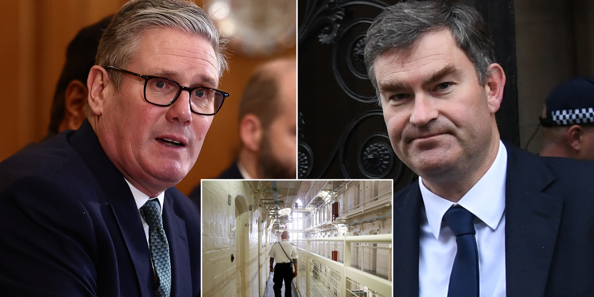 NextImg:Starmer told to embrace open prisons in bid to tackle overcrowding crisis - 'We have run out of space!'