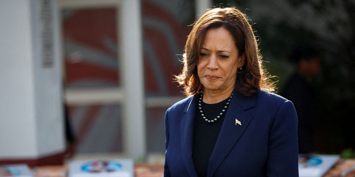 NextImg:Kamala Harris forced intelligence officers to hunt out 'anti-woke language' in briefings
