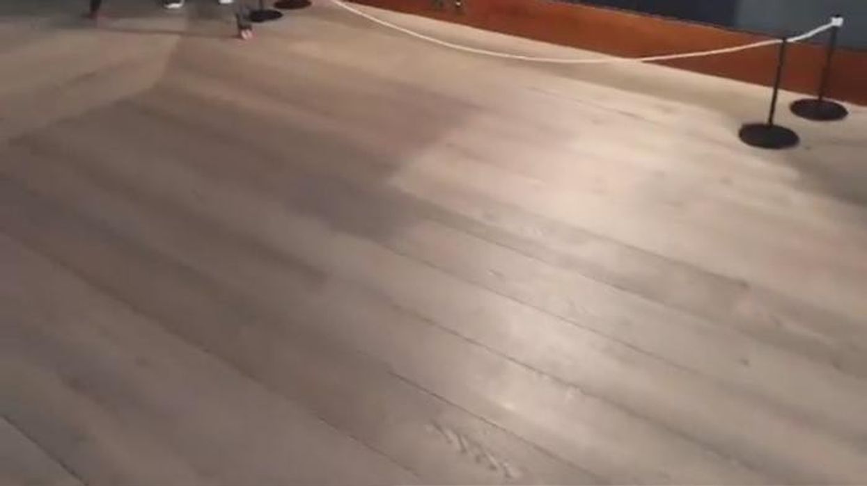 'Violence and yobbery!' GB News viewers react to activists vandalising portrait of King