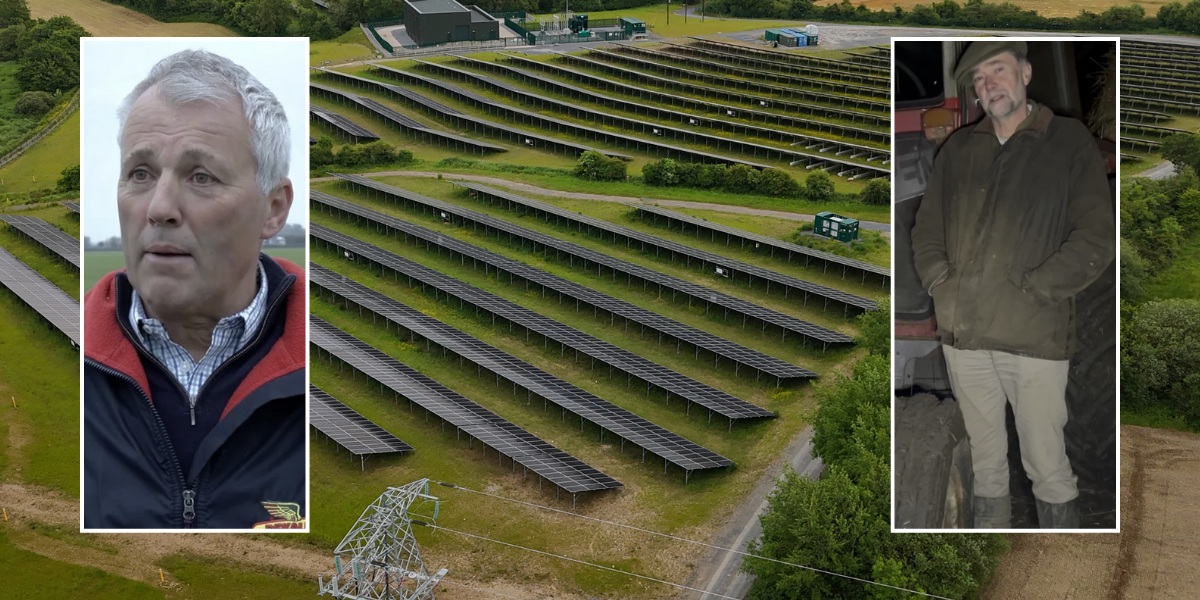 NextImg:‘There’s not enough money!’ Fears farmers will ABANDON food-production and turn to mass solar farms