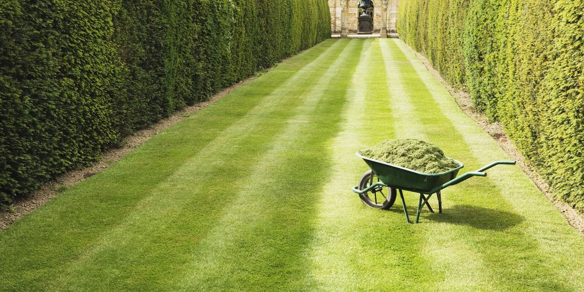NextImg:Neighbour left stunned after 'entitled' woman tries to 'steal' gardener for free