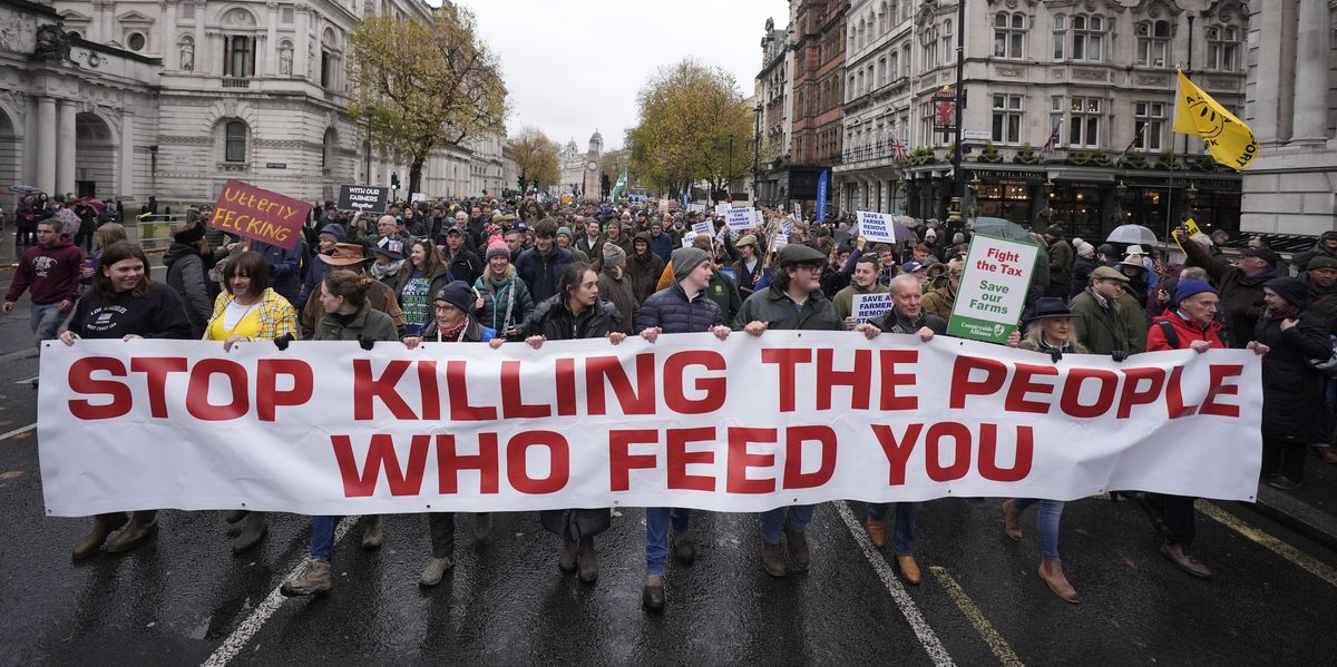 NextImg:UK farmers made to suffer AGAIN as EU deals huge blow just weeks after being targeted in Labour's Budget