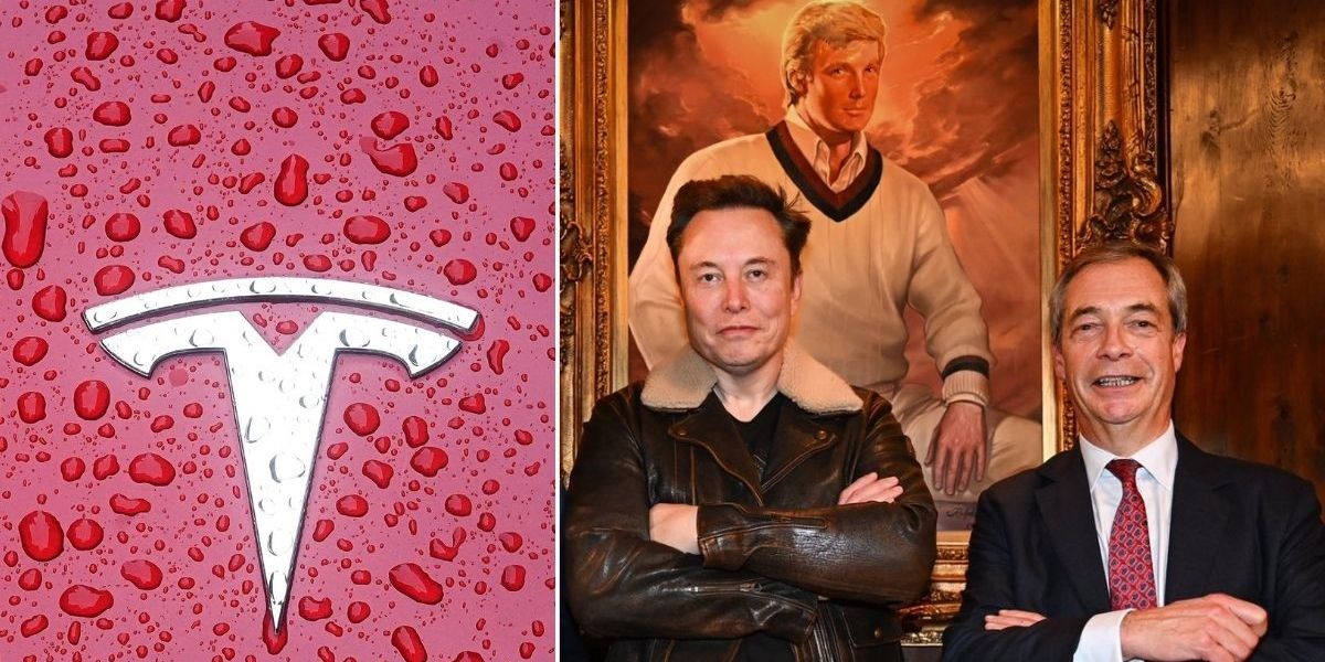 NextImg:Tesla sales fall as drivers put off by Elon Musk's support for Reform UK, Nigel Farage and Donald Trump