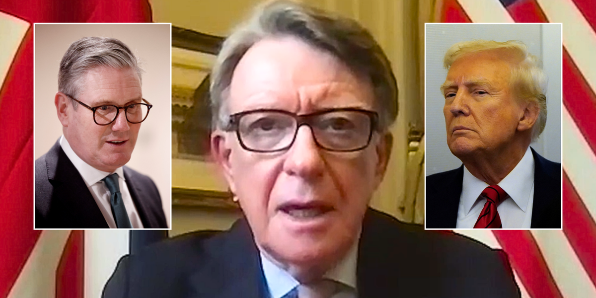 NextImg:Lord Mandelson says Donald Trump has 'won my respect' in walk-back on 'ill-judged' prior remarks