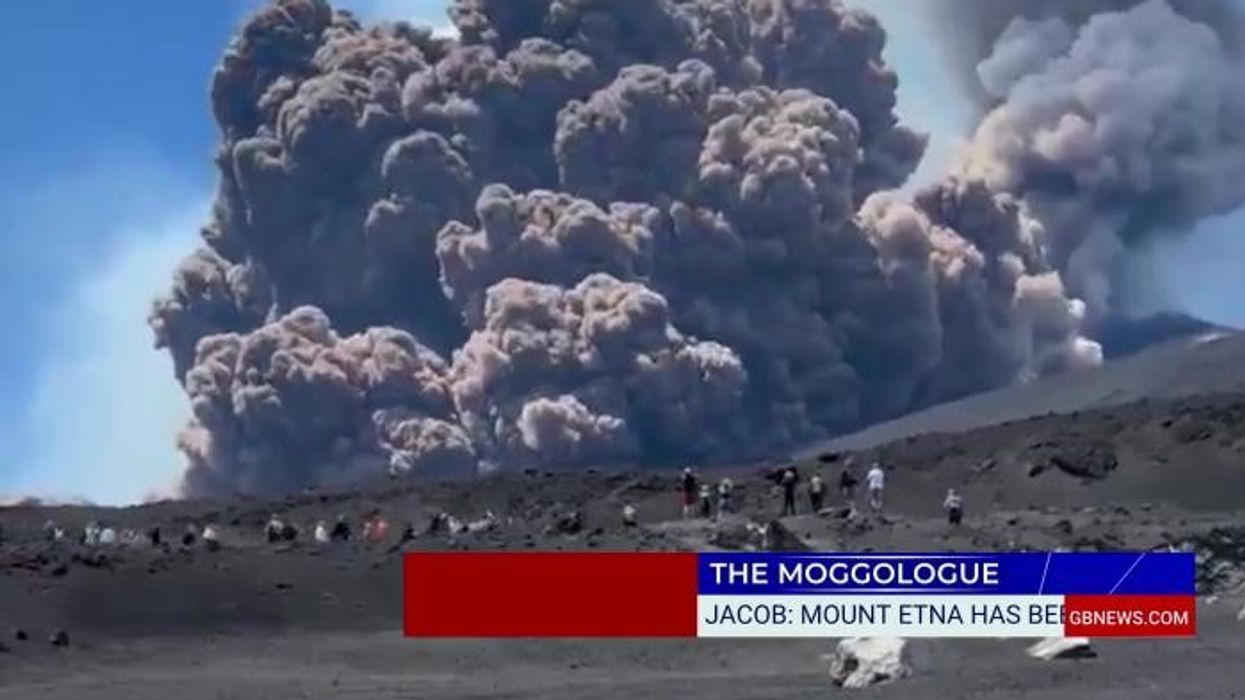 Kew Gardens to close iconic tropical plant greenhouse for four years in net zero push