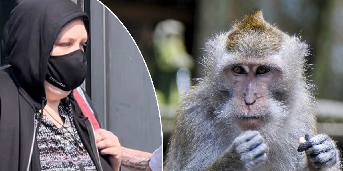 NextImg:Depraved woman who helped run horrific monkey torture ring blamed it on her hate for women and babies