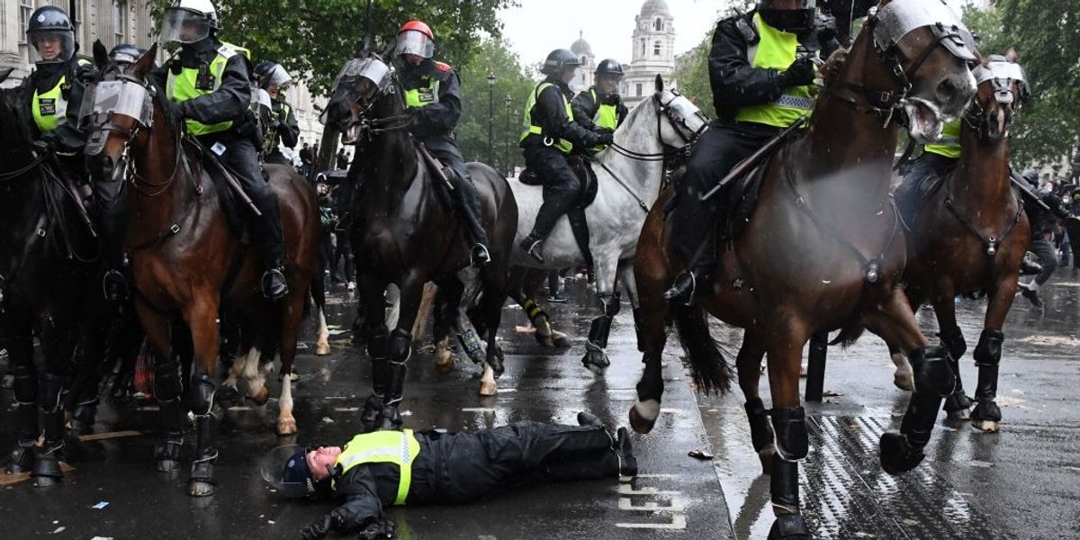 NextImg:Police officer sues Met for £200,000 after being thrown from horse during protest