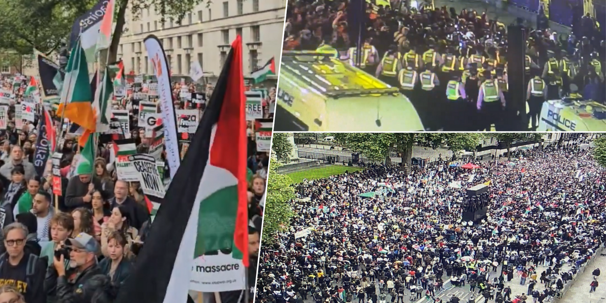 NextImg:Pro-Palestine protesters in violent clashes as police officers injured and 40 activists arrested