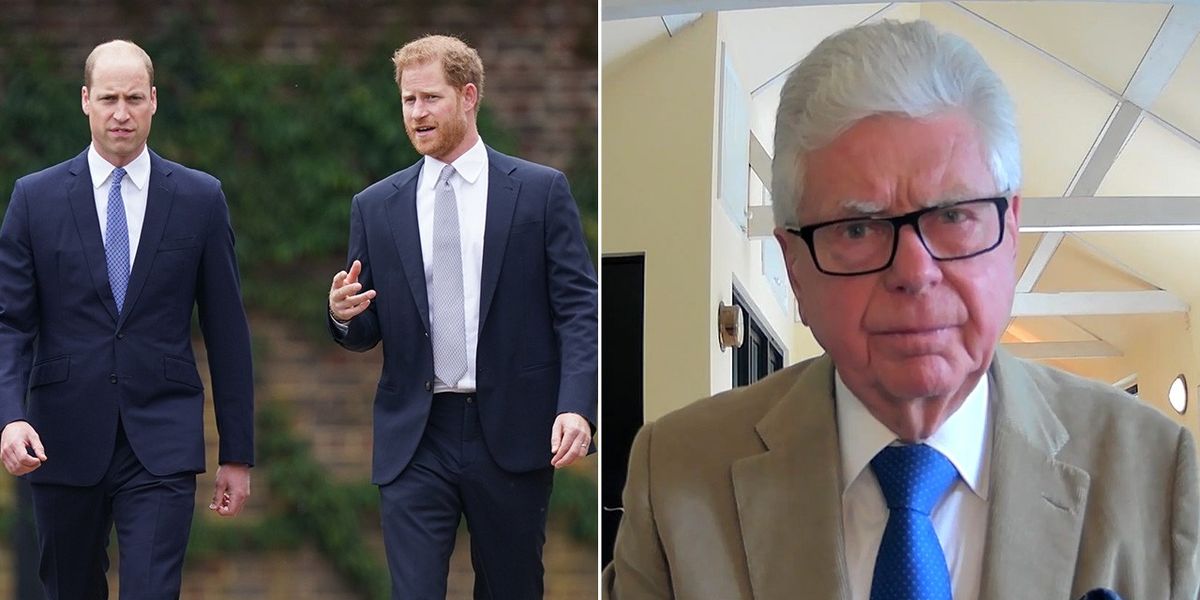 NextImg:Prince Harry and William feud branded 'unnecessary' as Duke returns to UK - 'They made a promise to Diana'
