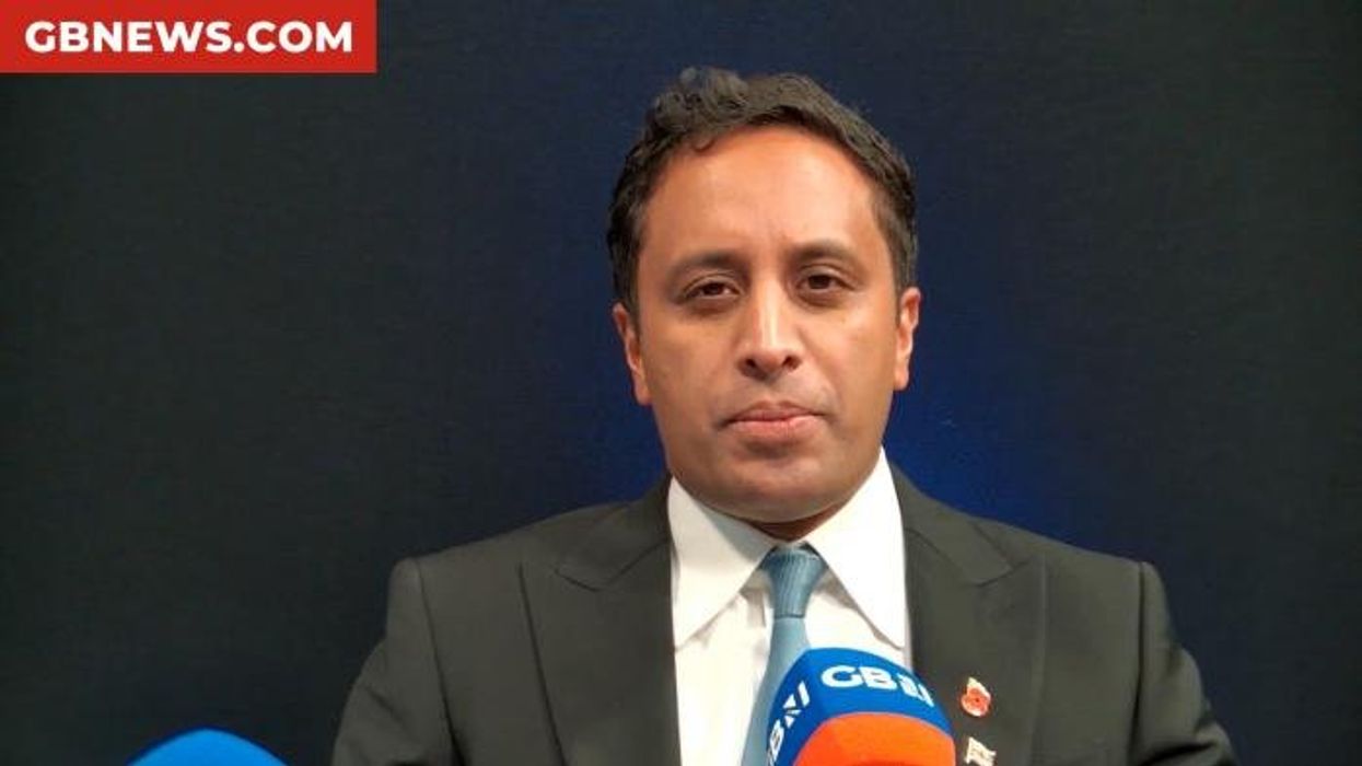 Zia Yusuf: 'More MPs will lose their seats at next election than ever before - and I'll love it'