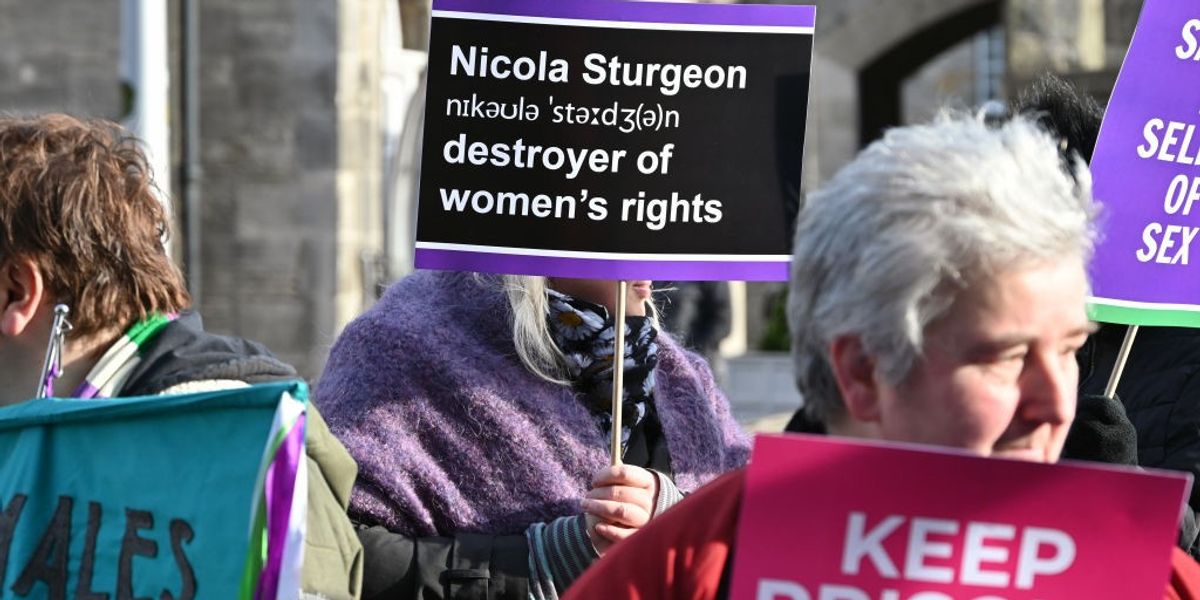 NextImg:Children to be allowed to CHANGE GENDER in Scottish schools despite report of 'psychological' repercussions