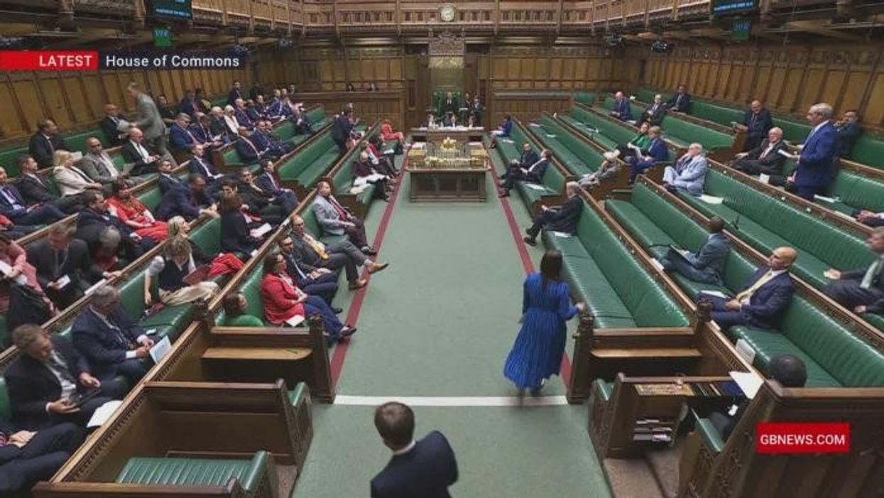 WATCH: Nigel Farage makes maiden speech in Parliament - 'More supporters of Brexit in Brussels than here in the Commons!'