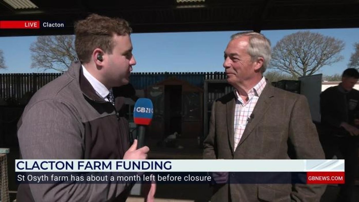 'Remainiac!' David Lammy refuses to admit key Brexit benefit in latest pro-EU outburst