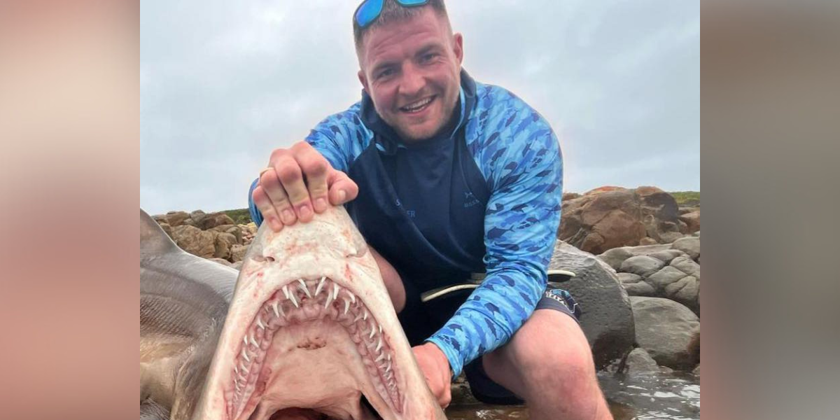 NextImg:Shark attack leaves Briton 'like a rag doll' after vicious mauling during 'trip of a lifetime' to South Africa