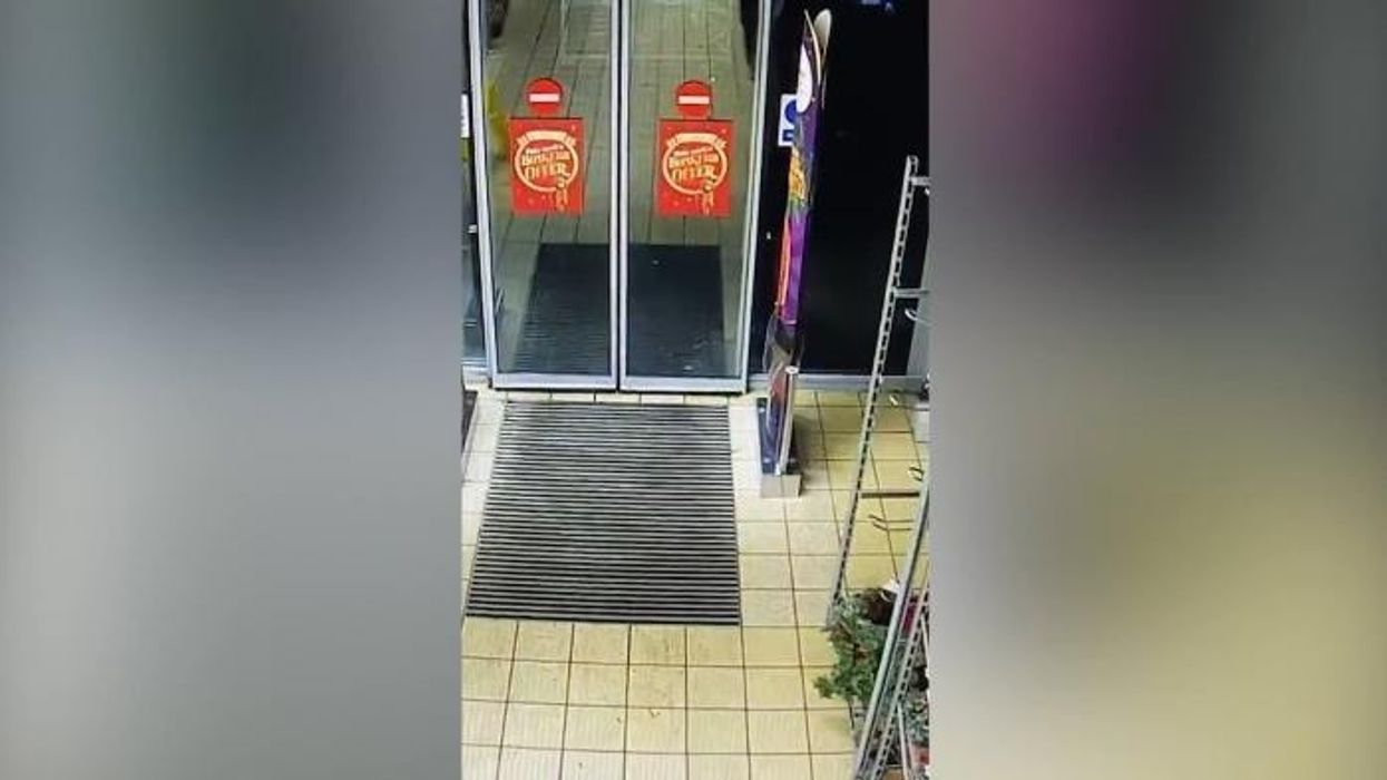 Aldi customers caught on camera stealing four bottles of 'knock-off Bailey's' in brazen shoplifting spree