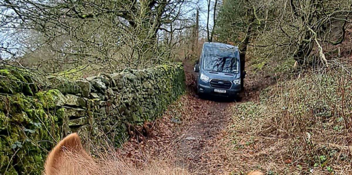 NextImg:Amazon delivery driver forced to abandon van after becoming trapped on woodland footpath