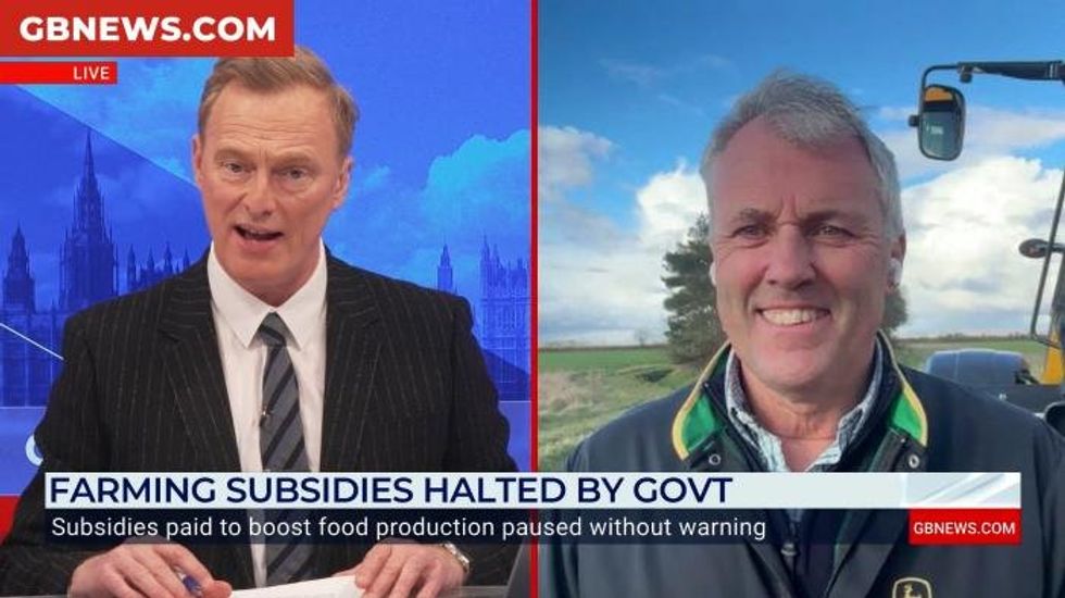 UK Government Allocates £1 Million for Golden Eagle Reintroduction in England