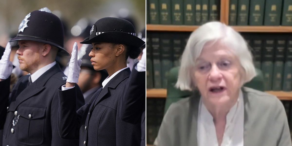 NextImg:'We want OUR country back!': Ann Widdecombe grills LAWLESS London calling for police on the streets