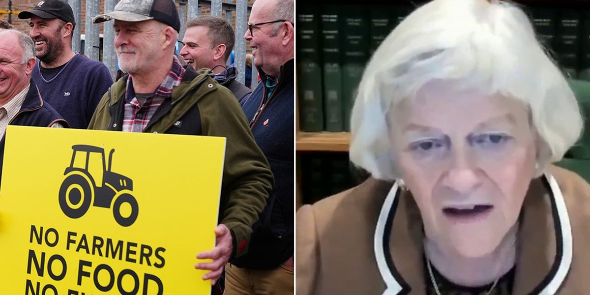 NextImg:Labour scolded by Widdecombe for their 'arrogant' war on farmers: 'It's the straw that'll break the camel's back!'