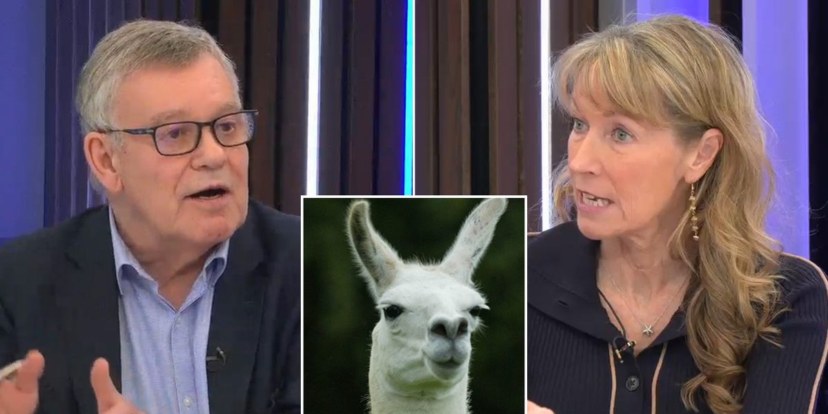 NextImg:Labour sparks bitter trans row after appointing health minister who claims people can identify as llamas: 'It's delusional!'