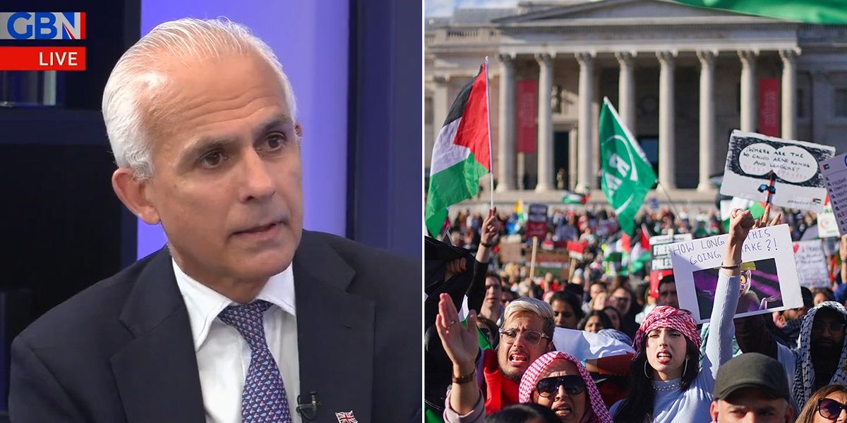 NextImg:'St George's flag more likely to get you arrested than a SWASTIKA!' Ben Habib SLAMS two-tier policing