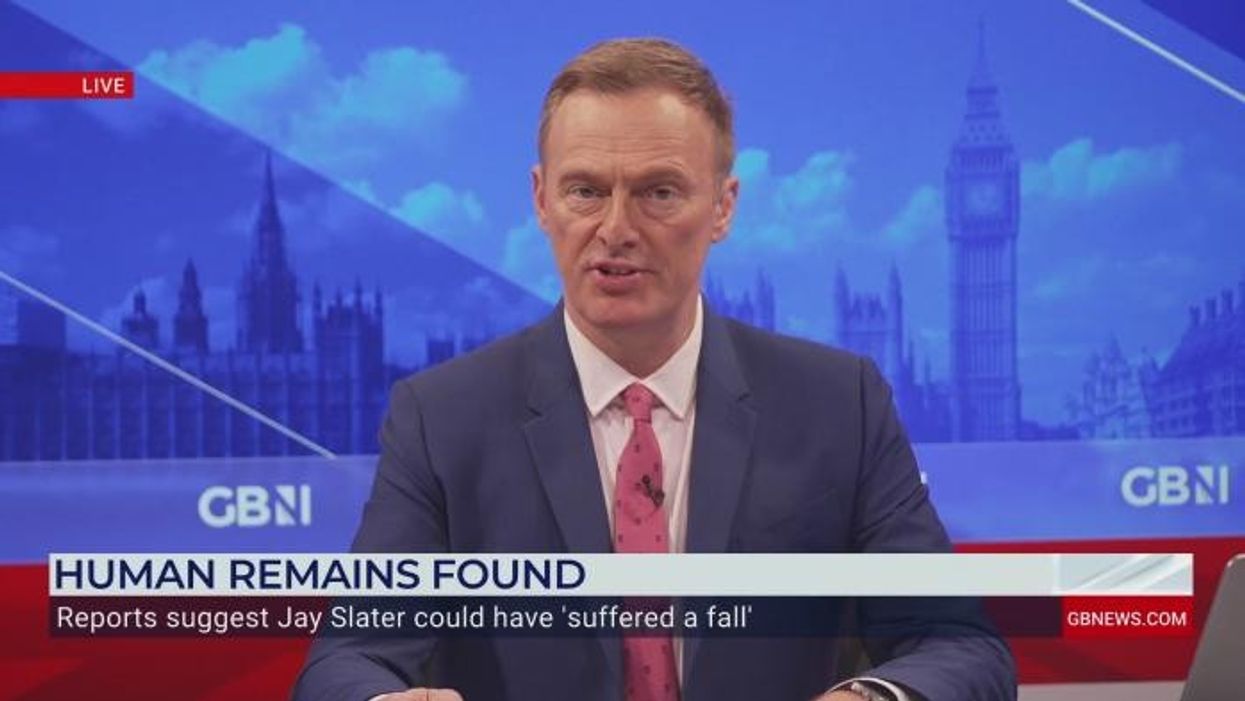 Ben Habib in scathing rant at Reform UK after being sacked as Deputy Leader: ‘Nigel CONTROLS the party!’