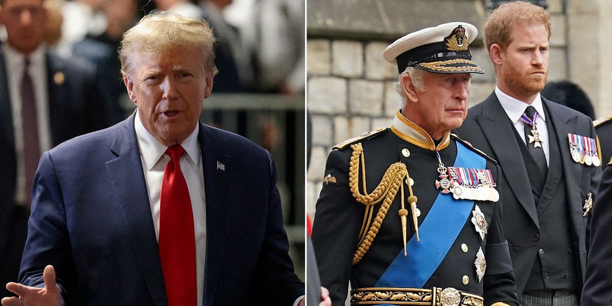 NextImg:Donald Trump could 'make a point with Prince Harry' but Duke is protected by relationship with Charles
