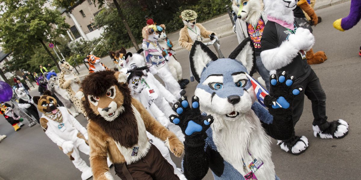 NextImg:World of the 'furries' revealed as individuals eat from bowls and use litter trays - 'I identify as a llama'