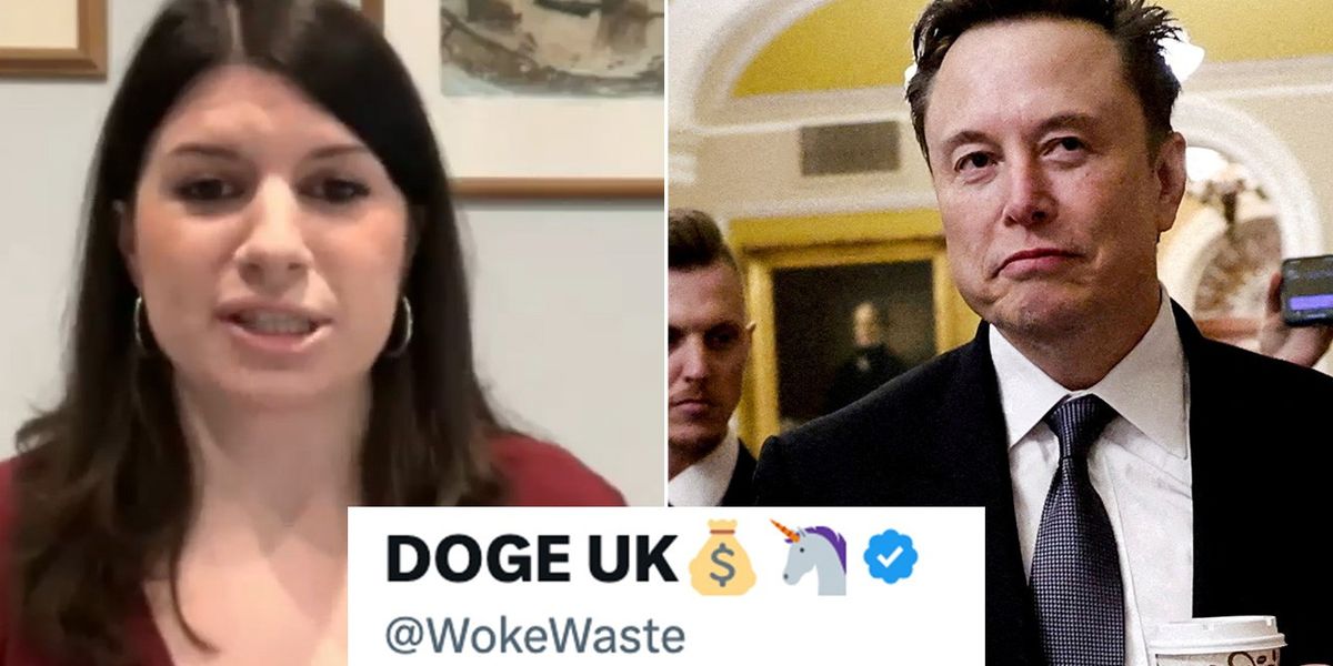 NextImg:Britain's 'woke waste' exposed as DOGE UK founder shares 'staggering' taxpayer-funded projects: 'Funding their own demise!'