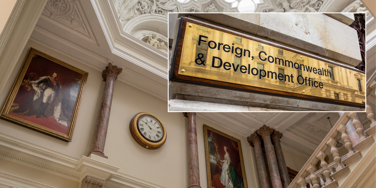 NextImg:Woke ex-civil servants brand Foreign Office 'elitist' and say there's too many 'colonial era pictures on the wall'