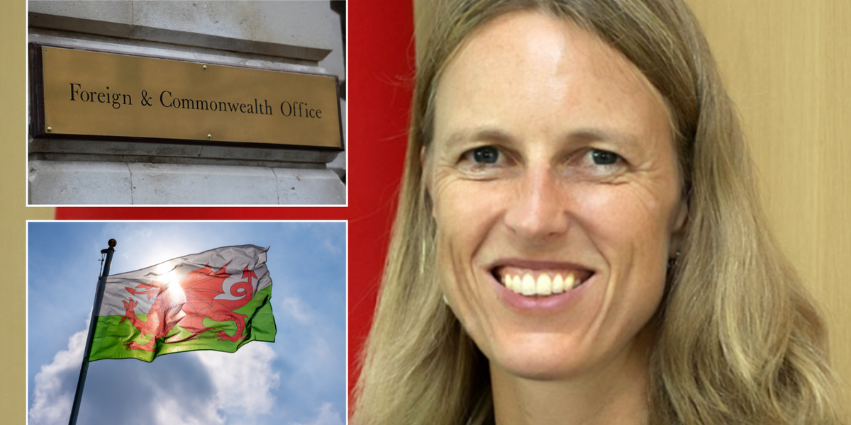 NextImg:UK ambassador blasts civil servants for anti-Welsh bias from English colleagues