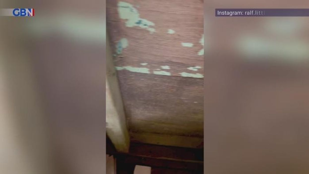 'Fund fresh ideas!' BBC Death in Paradise sparks anger as ANOTHER spin-off confirmed: 'How many more!'