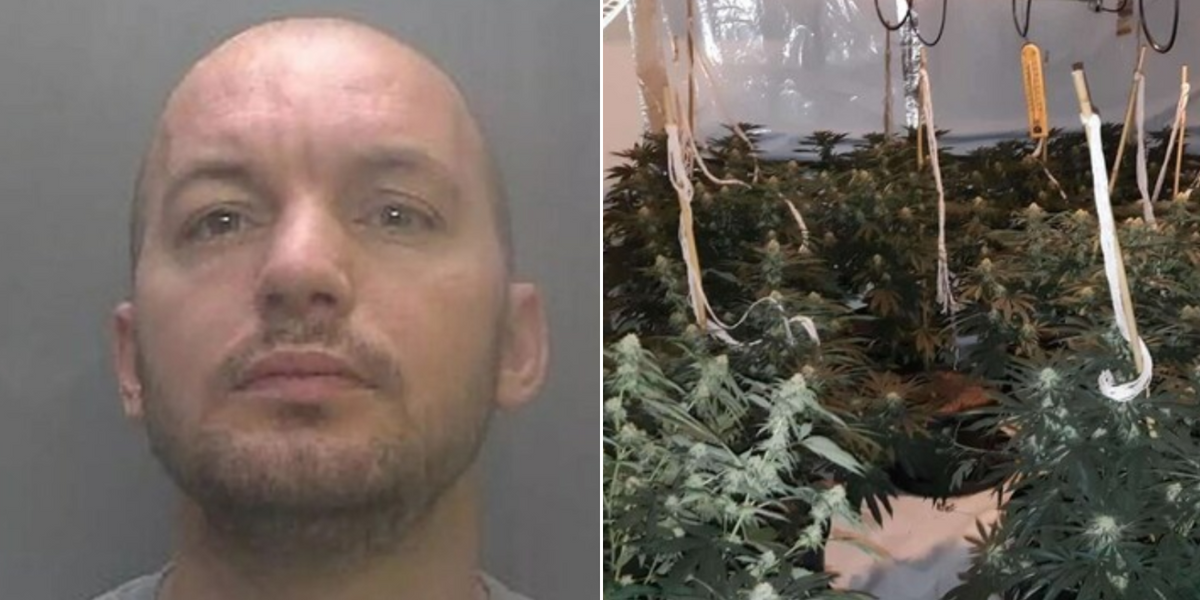 NextImg:Migrant cannabis farmer spared deportation from UK after claiming he forgot how to speak native language