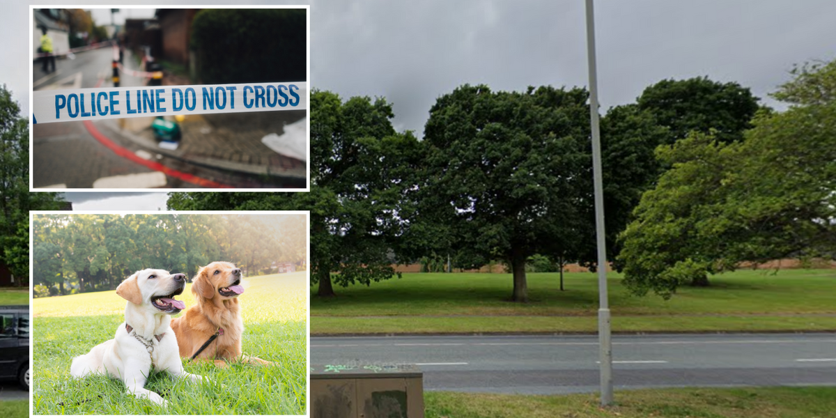 NextImg:Two dogs mysteriously die after eating unknown white substance found in Liverpool park