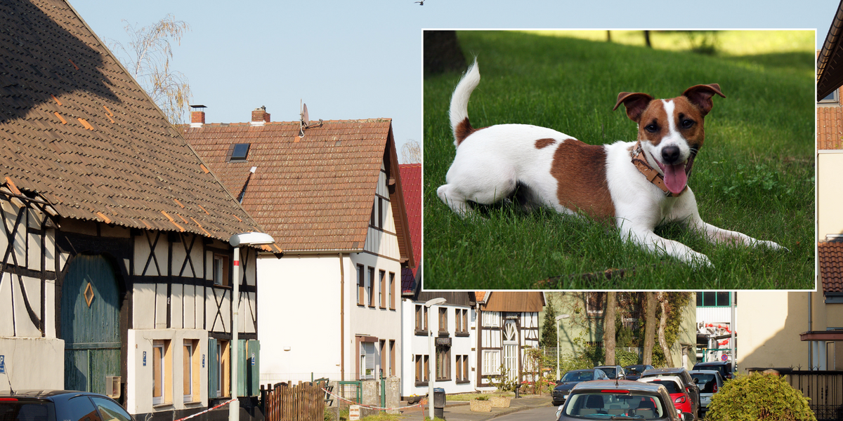 NextImg:Man found with genitals missing after they were 'bitten off and eaten' by his dog