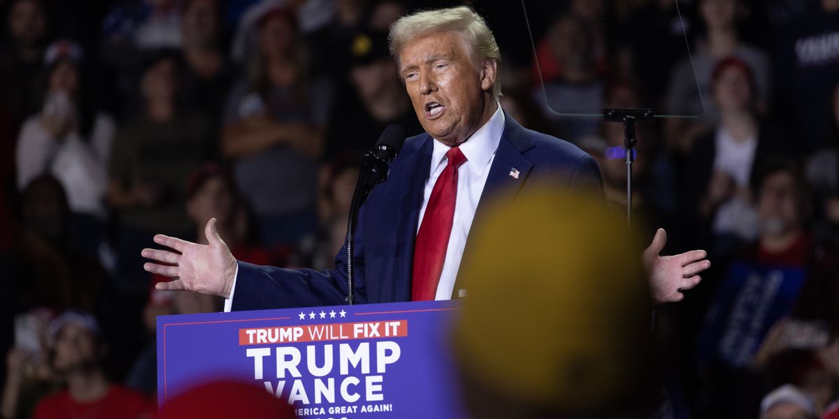 NextImg:Donald Trump loves idea of Mike Tyson fighting Kamala Harris ahead of US election
