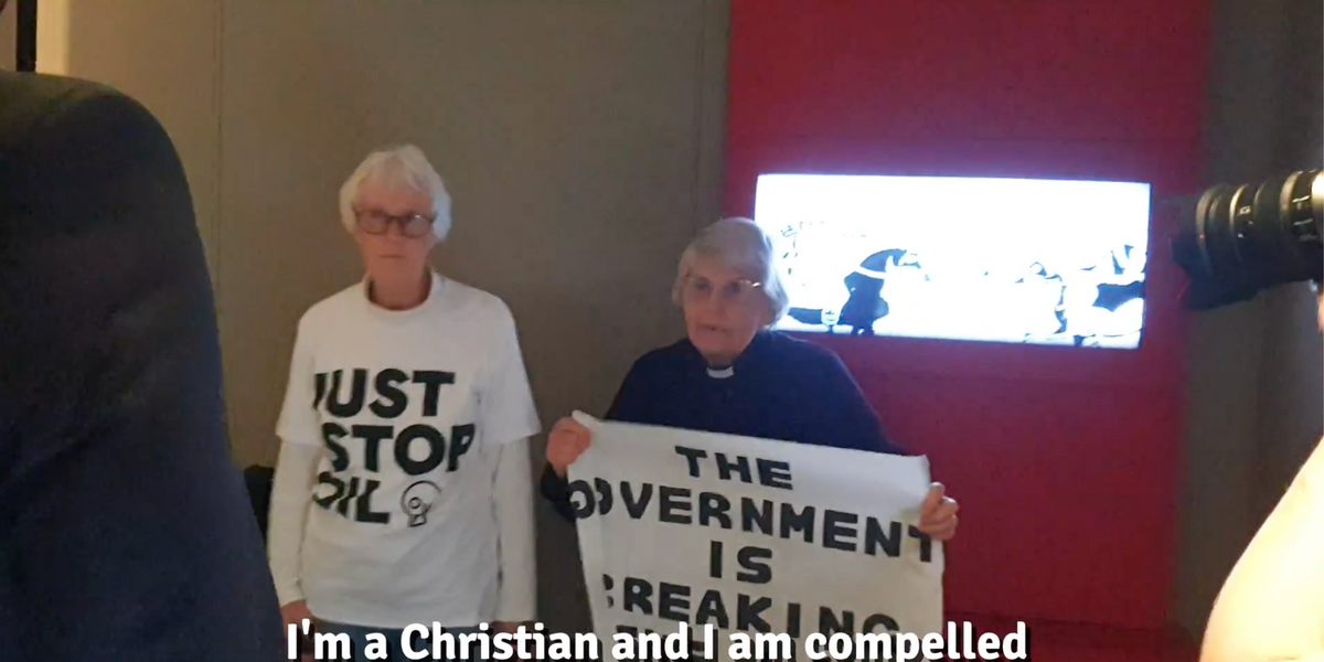 NextImg:Just Stop Oil protesters in their EIGHTIES target the Magna Carta in new eco-protest