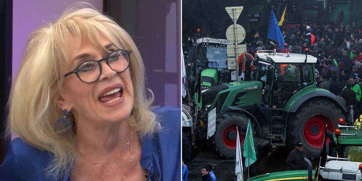 NextImg:'How dare they slate them as right-wing!' Carole Malone in furious defence of frustrated farmers 'being choked by EU'
