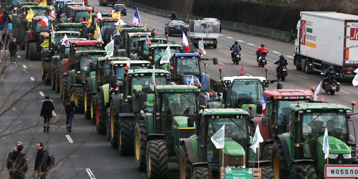 NextImg:French riot police arrest dozens of farmers after they stormed 'belly of Paris' food market