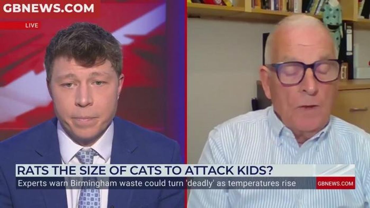 'A disgrace!' Birmingham MP Tahir Ali lambasted for remaining silent on city's bin crisis: 'Throw him out'