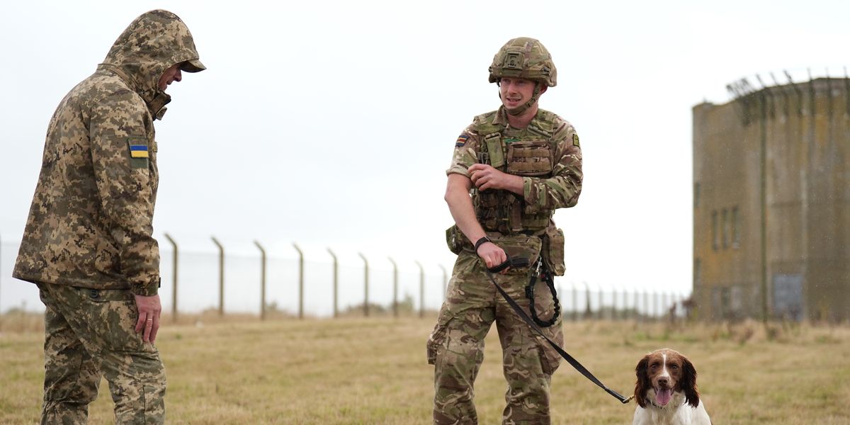 NextImg:MoD admits one in five not fit to fight as soldiers 'medically not deployable'