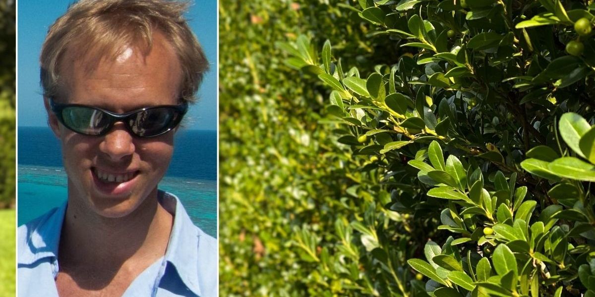 NextImg:'Neighbour from hell' sues woman next door after she 'outrageously' hacked down holly hedge to make her flowerbed two-feet bigger