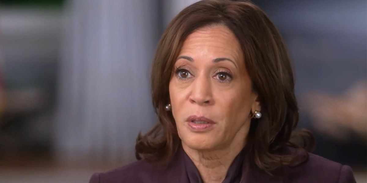 NextImg:Kamala Harris has 'finally been revealed' after 'disaster' CBS interview: 'Grilled like burnt toast!'