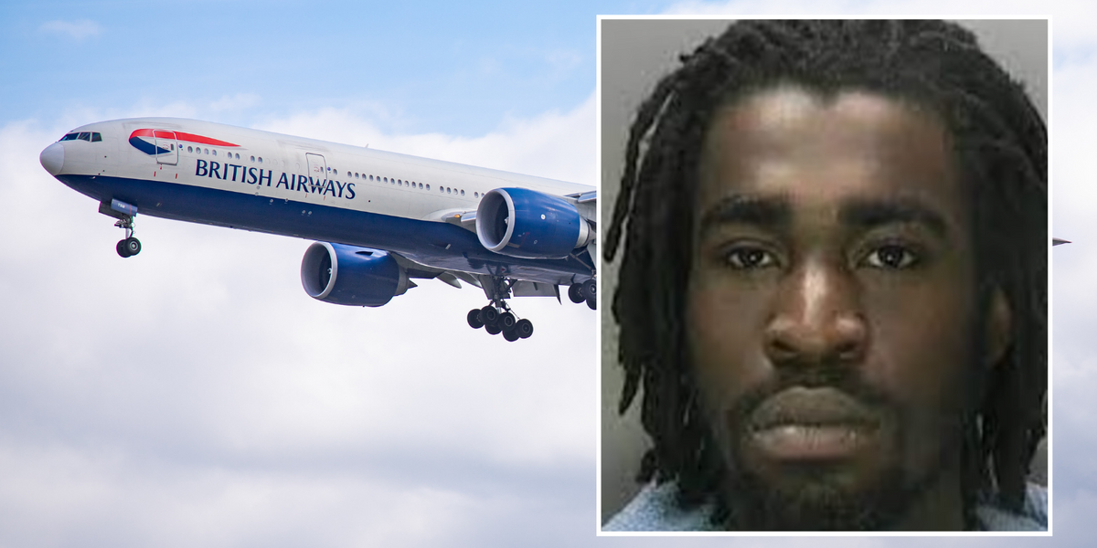 NextImg:'Do-gooder' British Airways passengers blasted after BLOCKING deportation of dangerous Jamaican-born gangster