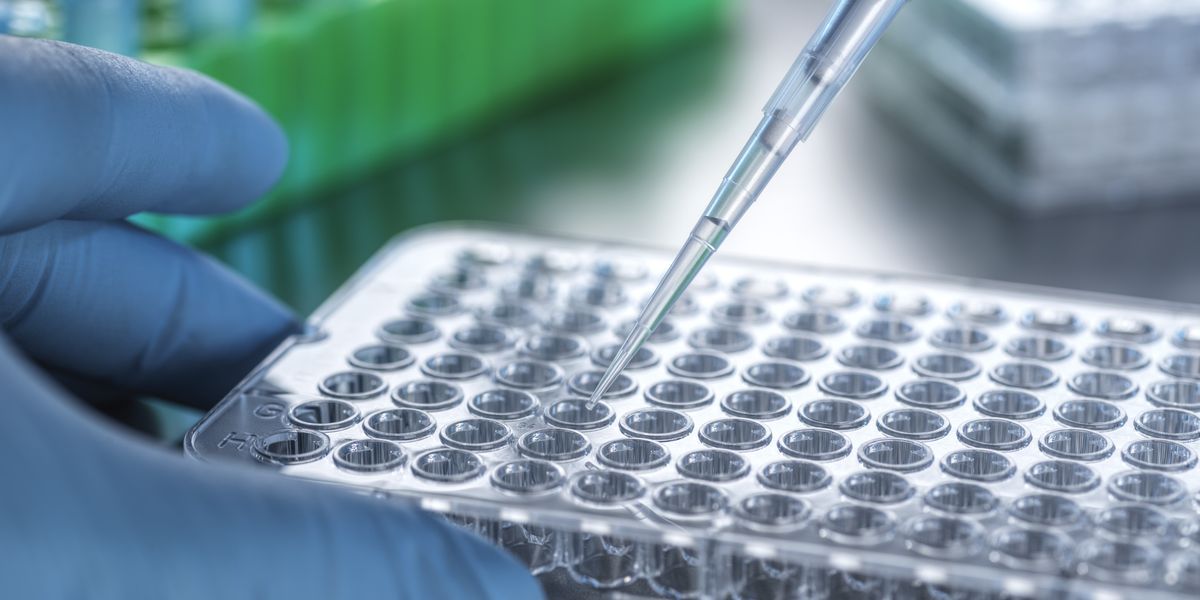 NextImg:Cancer breakthrough: Potential cure may have been found in space - 'We have the kill switch'