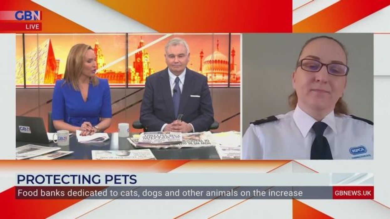 Children take part in 'sick' attacks as animals tortured and killed with catapults