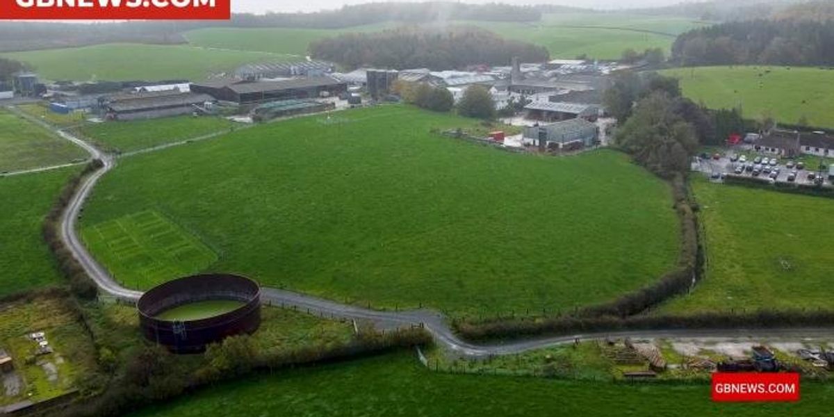 Northern Ireland farm accused of poor animal welfare as whistleblower speaks to GB News Northern Ireland farm accused of poor animal welfare as whistleblower speaks to GB News